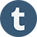 tumblr icon